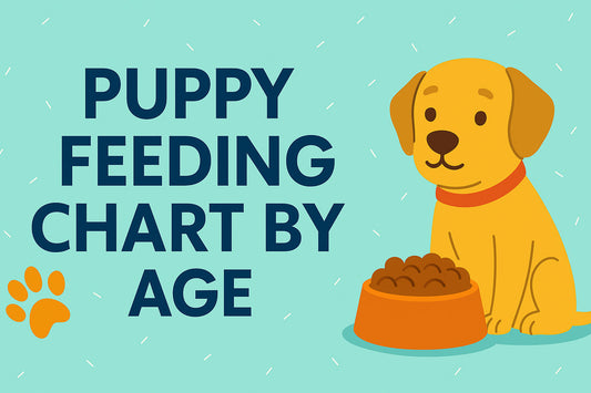 Puppy Feeding Chart by Age: A Complete Guide for Pet Parents
