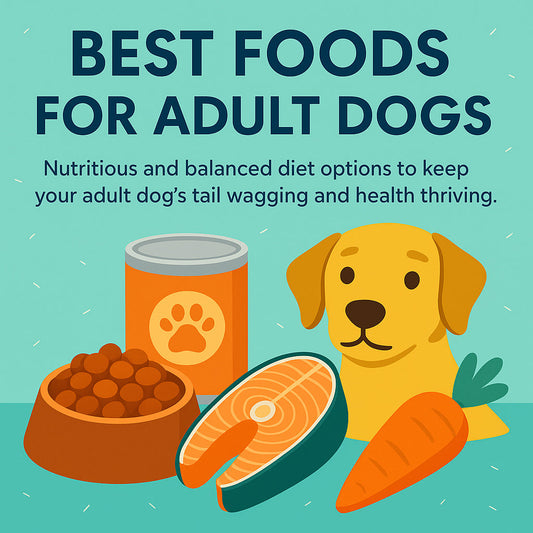 Best foods for adult dogs