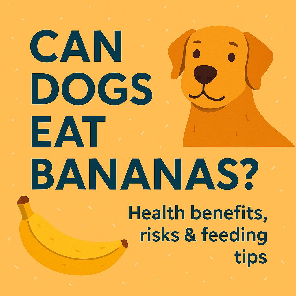 Can dogs eat bananas?