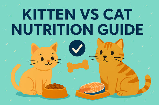 Kitten vs Cat Nutrition Guide
